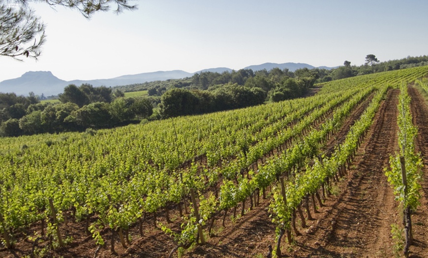 Image 1: Tour privé provençal de dégustation de vin avec déjeuner pique-niqu...