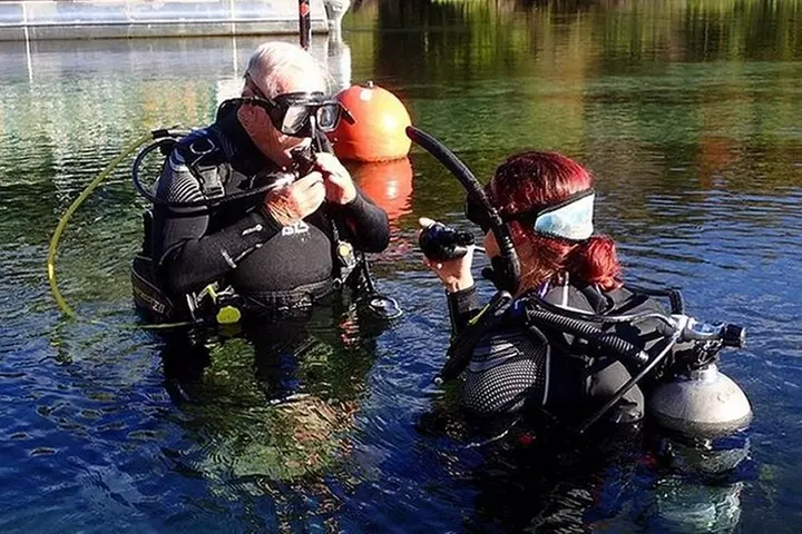 Manatees and Rainbow River by SCUBA or Snorkel - Second Medium