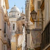 Image 4: Recorrido privado a pie por Cádiz