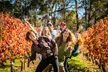 Margaret River Winery, Brewery Tour with Gourmet Lunch. - Image 5