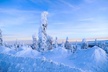 Arctic Circle Day Tour Adventure - Second Medium