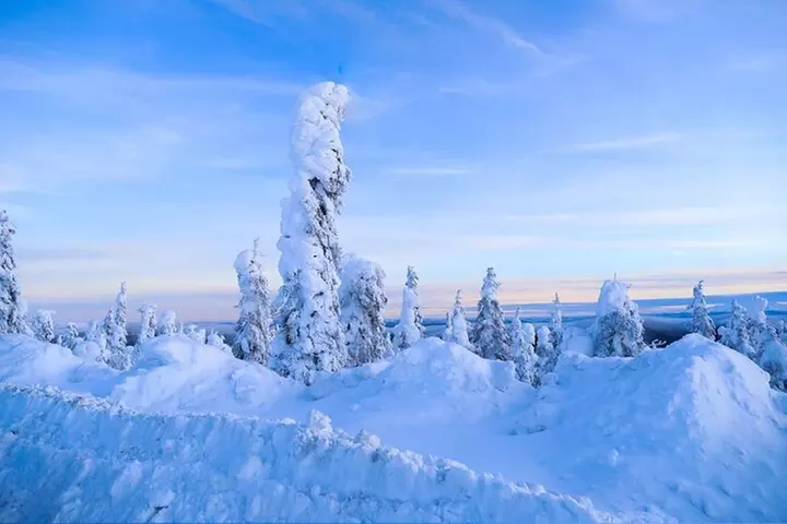 Arctic Circle Day Tour Adventure