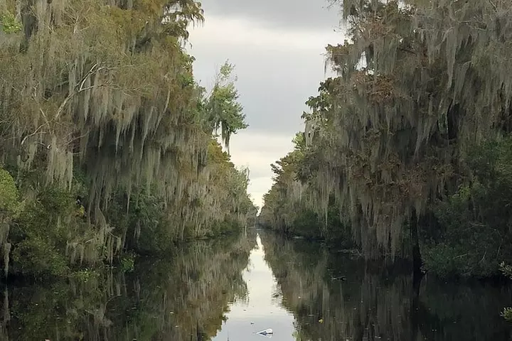 New Orleans Airboat Ride
