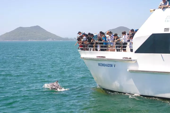 From Sydney: Port Stephens Dolphin, Koalas, Lunch & Sandboarding - Primary Image