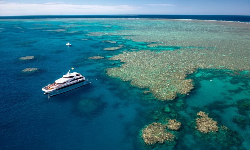 Image 3: Great Barrier Reef Snorkeling and Diving Cruise from Cairns