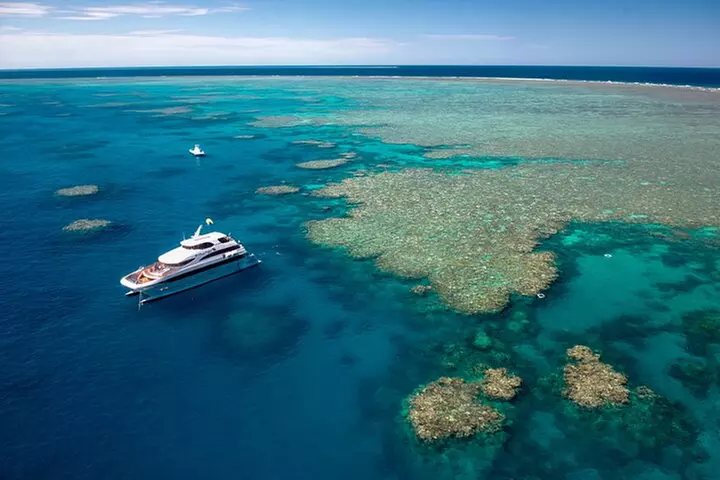Great Barrier Reef Snorkeling and Diving Cruise from Cairns