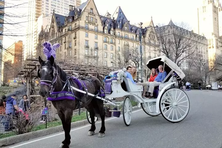 Private NYC Central Park Horse Carriage Ride (Guided) Since 1965™
