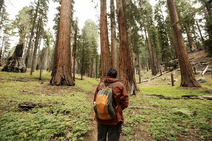 San Francisco to Los Angeles: California Parks Highlights Tour