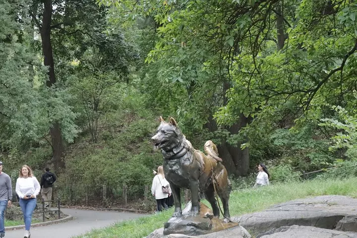 Guided Electric Scooter Tour of Central Park