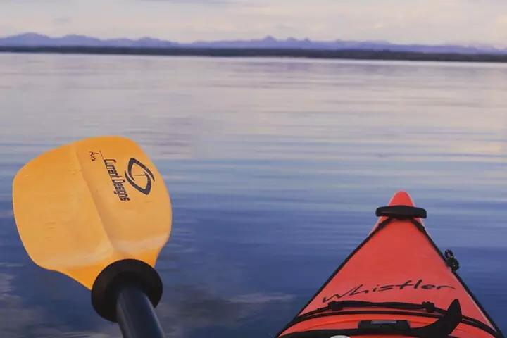 Lake Yellowstone Half Day Kayak Tours Past Geothermal Features