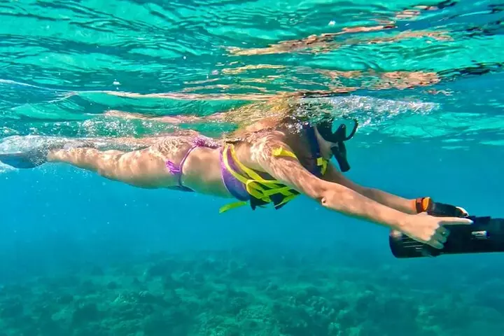 Guided Jet Snorkel Experience, Free Videos in West Palm Beach - Primary Image