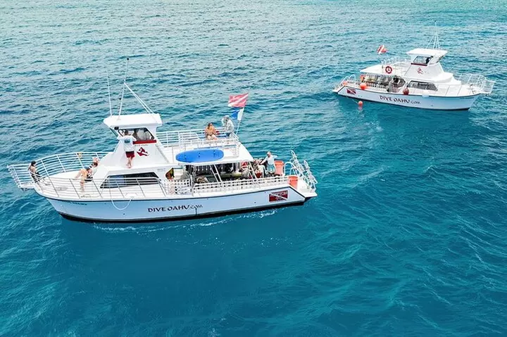 Waikiki to Diamondhead: Sunset BYOB Cruise