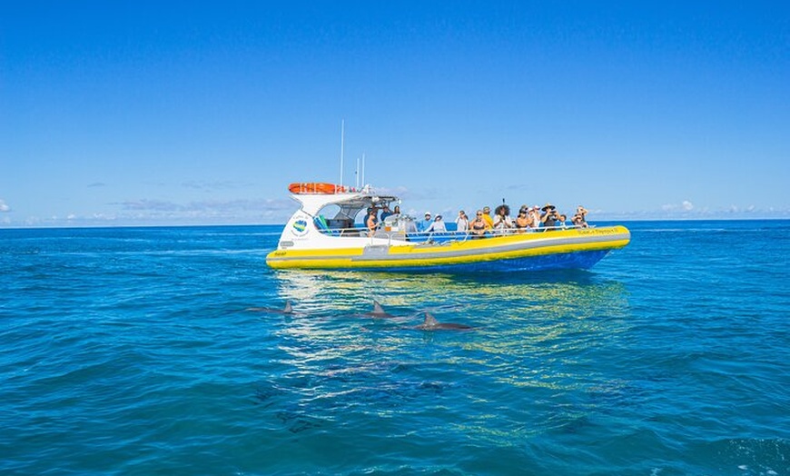 Captain J's Kauai Offshore Ad... - Captain J's Kauai Offshore ...