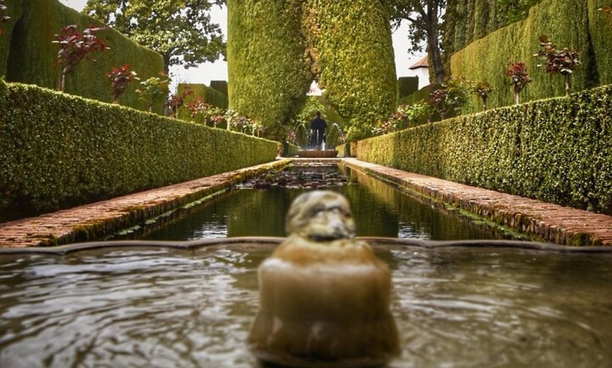 Image 10: Tour Privado de la Alhambra y Palacios Nazaríes desde Sevilla con r...