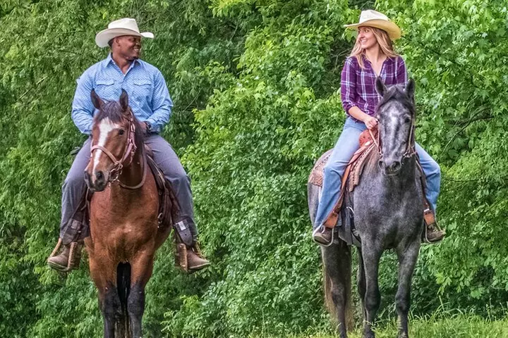 Private Sunset Horse Ride in Cordova - Primary Image