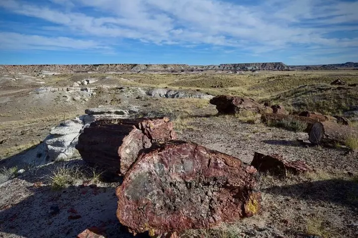 Petrified Forest National Park Self-Guided Driving Audio Tour