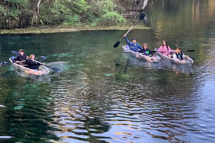 Clear Canoeing and Wildlife Sightseeing at Silver Springs