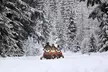 Mt Hood National Forest - 90 Minute Snowmobile Adventure - Second Medium