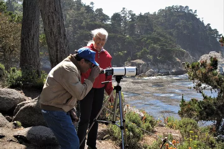 Guided 2-Hour Point Lobos Nature Walk