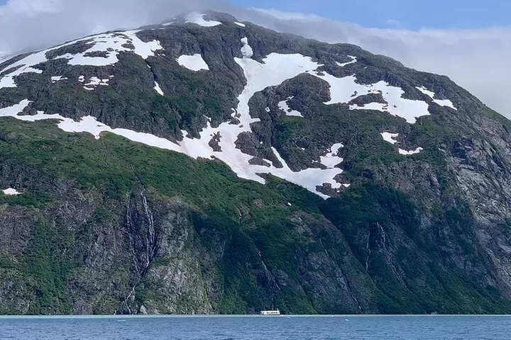 Valley of Glaciers Experience with Portage Glacier Cruise and Wildl...