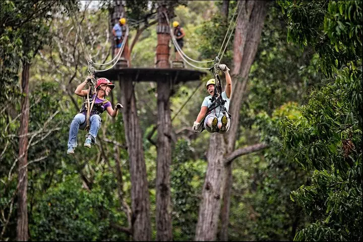 Big Island Kohala Zip and Dip Tour from Kona