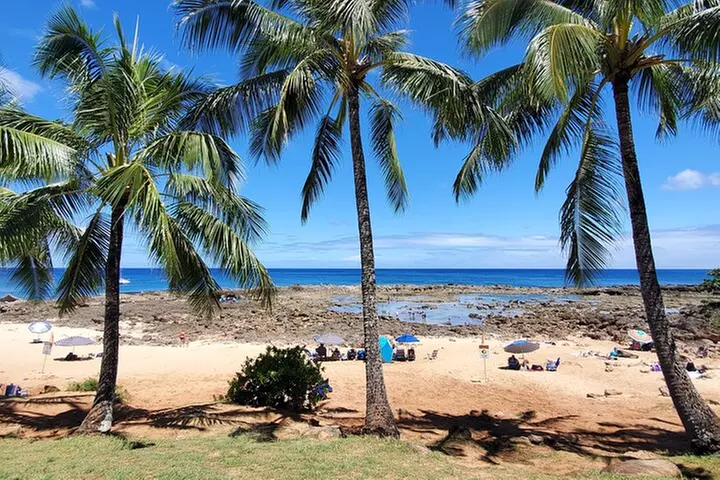 Round Trip North Shore Shuttle from Waikiki to Haleiwa Town / Halei...