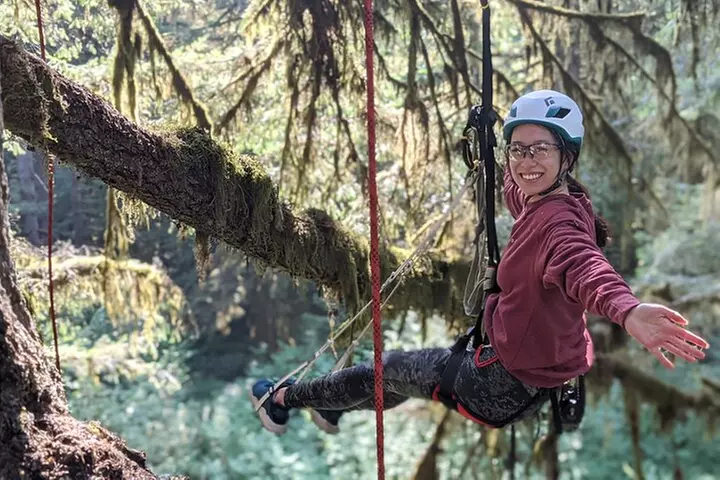 Sunset Tree Climb at Silver Falls State Park