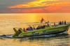 Sightseeing Dolphin Coastline Cruise