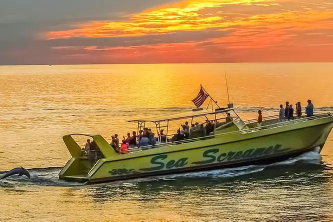 Sightseeing Dolphin Coastline Cruise - Primary Image
