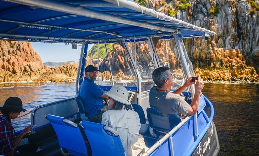 Image 11: Southwest Tasmania Wilderness Experience: Fly Cruise and Walk Inclu...