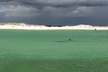 Hydro Rocket Dolphin Sightseeing Boat Tour from Destin - Second Medium