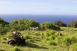 ATV Ranch ride Big Island Hawaii - Second Medium