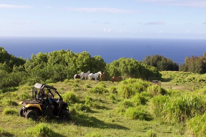 ATV Ranch ride Big Island Hawaii