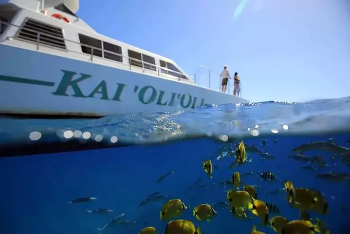 Oahu: Private Sunset Cruise and Dolphin Watch with Hot Buffett