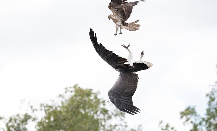 Image 6: Top End Safari Camp Day Tour