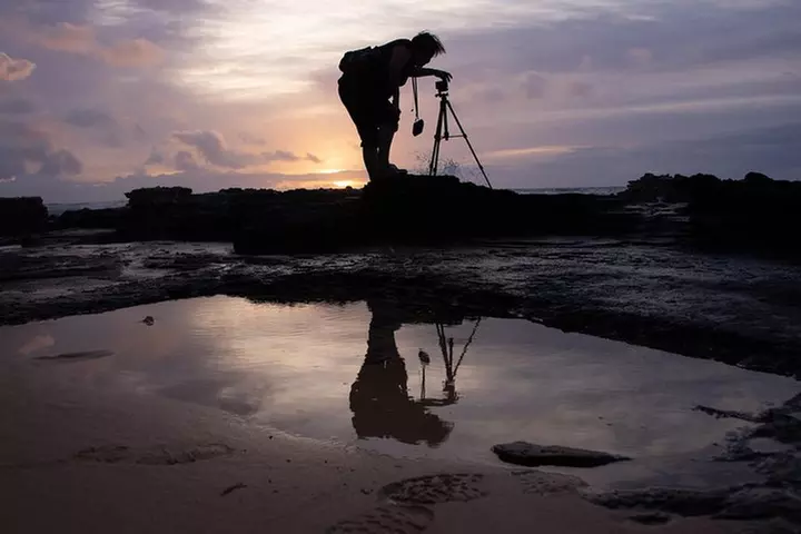 First Day Must: Oahu Sunrise & Circle Island Adventure