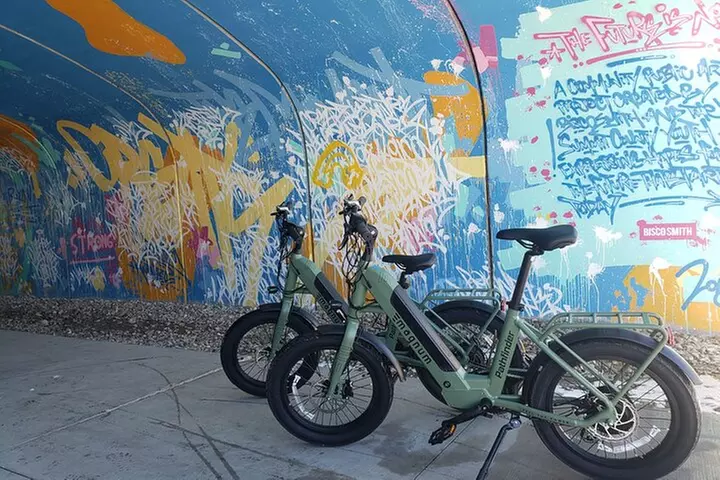 Guided Urban Art and Historical E-Bike Tour in Park City