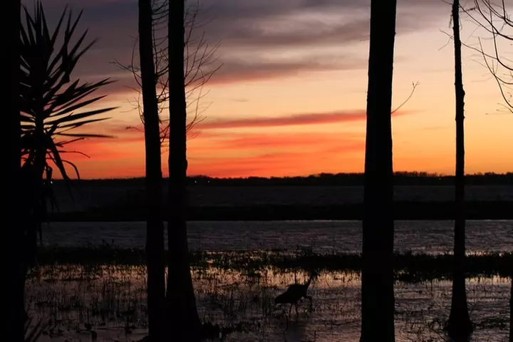 1-Hour Evening Airboat Ride