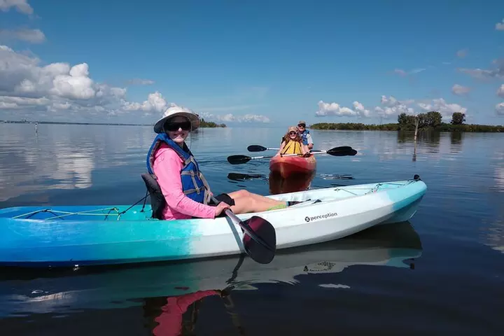 Guided Kayak Tour with Manatee & Dolphin Sightings
