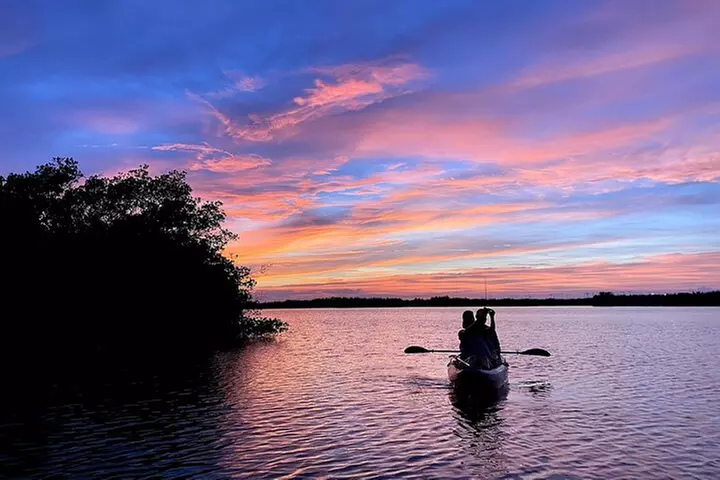 Wildlife Refuge Dolphin, Manatee & Mangrove Kayak or Paddleboarding...