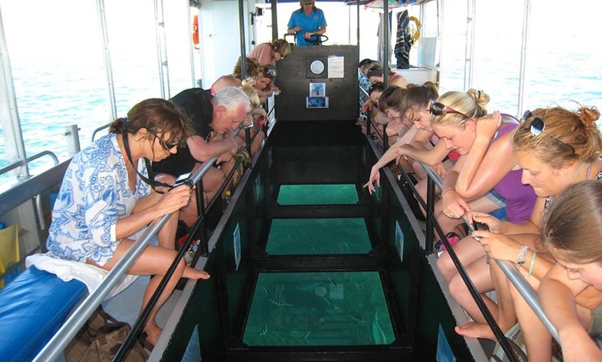 Image 2: Coral Bay 1-Hour Coral Viewing