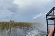 Everglades Tour from Miami 4 hours with 60min Airboat ride & free Group Photo - Second Medium