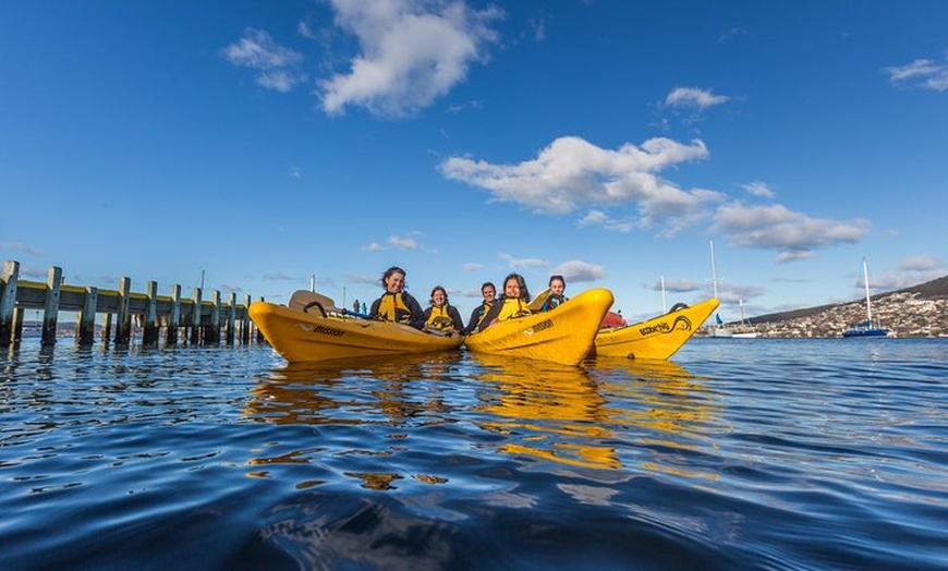 Image 4: Hobart Kayak Tour