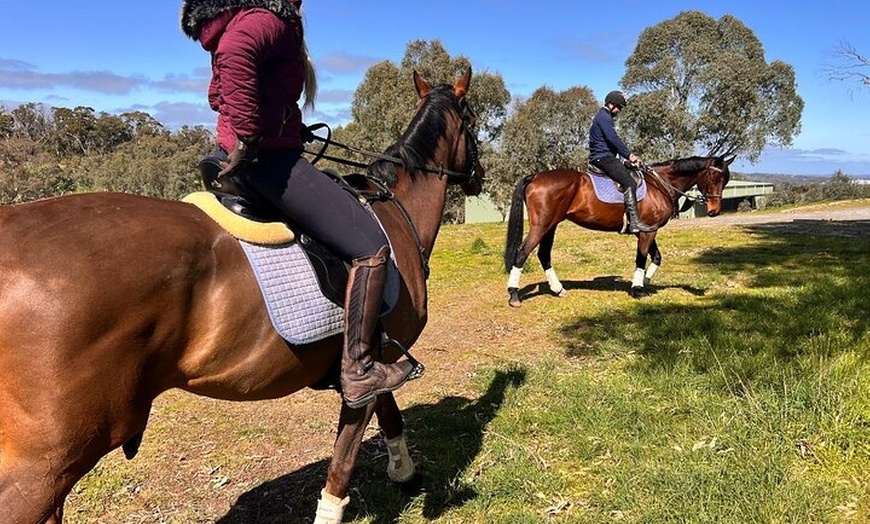 Image 7: Horse Trail Ride and Wine Tasting at Adelaide Hills Winery