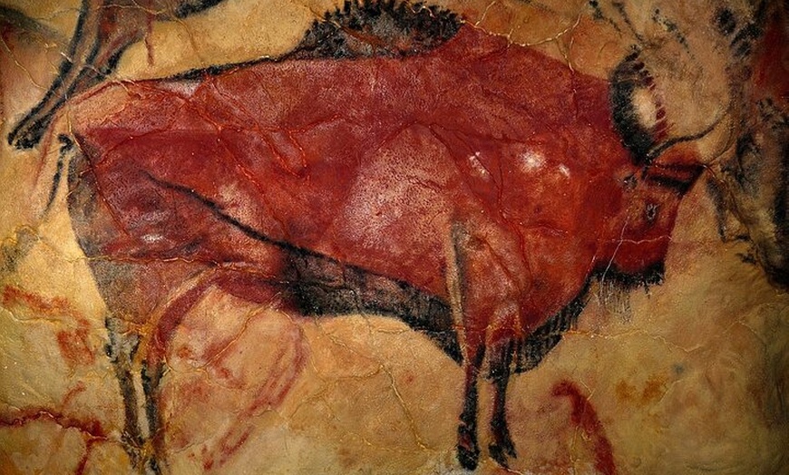 Image 2: Visita Privada a Pie al Museo de Altamira y la Neocueva