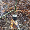 Image 4: Full Day Bushcraft Course with Elemental Nomad