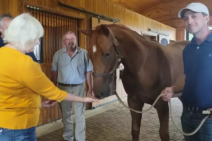 Half-Day Thoroughbred Horse Farm Tour in Kentucky