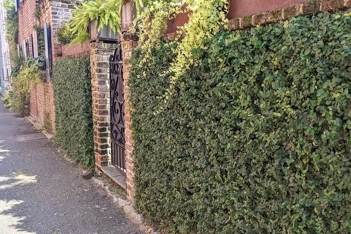 Revolutionary Charleston Walks - Ghost Tour