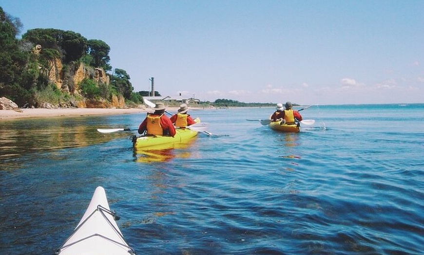 Image 9: Mornington Peninsula Kayak Coastline Tour of Dolphin Sanctuary