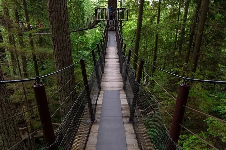 Private Grouse Mountain and Capilano Park Tour in Vancouver - Primary Image